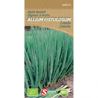 Ajuin Busselallium Fistulosum Bio