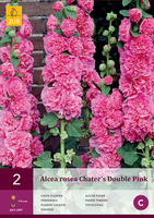 Alcea Rosea Chaters Double Pink