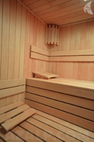 Azalp Sauna Rugleuning Lumen, Elzen