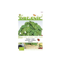 Buzzy® Organic Basilicum Italiano Classico (bio)