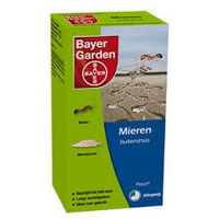 Bayer Mierenkorrels / Nest
