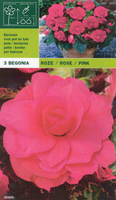 Begonia Dubbel Roze