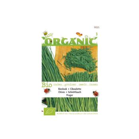 Buzzy® Organic Bieslook Prager (bio)