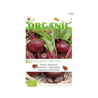 Buzzy® Organic Bieten Egyptische Platronde (bio)