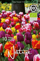 Biologische Bloembollen: Triumph Tulpen Mix
