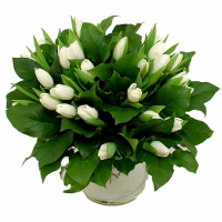 Boeket Witte Tulpen (niet Leverbaar In Verband Met Seizoen)