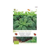 Buzzy® Organic Boerenkool Westlandse (bio)