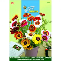 Bonte Ganzebloem Mix Chrysanthemum Carinatum