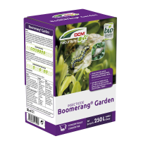 Boomerang Garden Insecticide Tegen Buxusmotrupsen Dcm 50 Ml