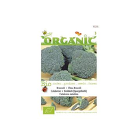 Buzzy® Organic Broccoli Groene Calabrese (bio)