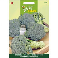 Broccoli Groene Calabria Brassica Oleracea