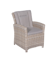 Buddha Lounge Doshin Fauteuil + Rugkussen Passion Willow