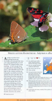 Butterflies Of Britain And Europe A Photographic Guide