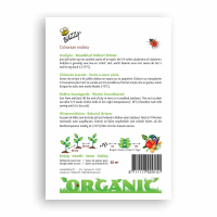 Buzzy® Organic Andijvie Nr. 5 (bio)