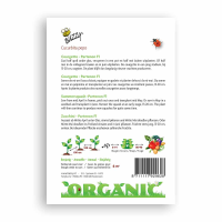 Buzzy® Organic Courgette Partenon F1 (bio)