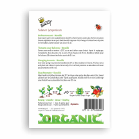 Buzzy® Organic Hangtomaat Koralik (bio)