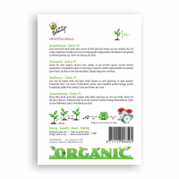 Buzzy® Organic Helianthus Zohar F1 (bio)