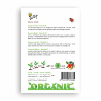 Buzzy® Organic Zomerwortel Merida F1 (bio)