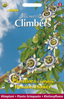 Buzzy® Flowering Climbers Passiflora Caerulea