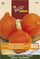 Buzzy® Seeds Bio Pompoen Uchiki Kuri (skal 14725 Nl Bio 01)