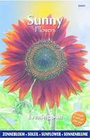 Buzzy® Sunny Flowers   Evening Sun