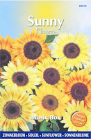 Buzzy® Sunny Flowers   Music Box