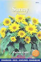 Buzzy® Sunny Flowers   Pacino Gold