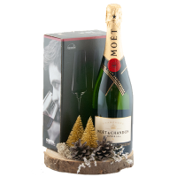 Champagne Met Kerst Decoratie