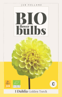 Dahlia Golden Torch Bio Flowerbulbs