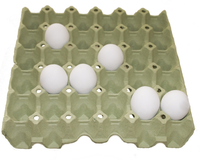 Eierdoos Pulp 30 Eieren