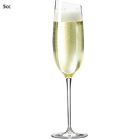 Eva Solo Champagneglas Champagne 20 Cl