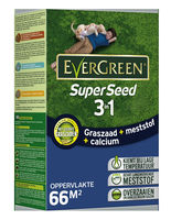 Evergreen Super Seed Graszaad 2 Kg