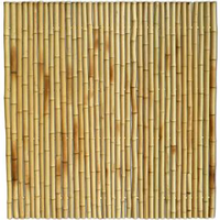 Bamboe Schutting Naturel 180 X 180 Cm X 35 45 Mm