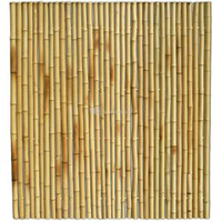 Bamboe Schutting Naturel 180 X 200 Cm X 35 45 Mm