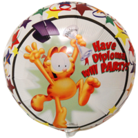 Garfield Ballon Geslaagd