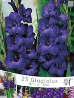 Gladiolen Blauw (voordeelpakket)