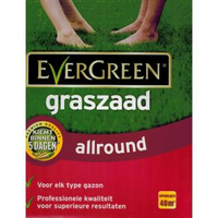Graszaad Allround 12 Kgevergreen