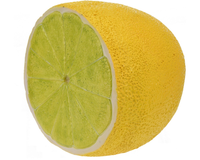 Halve Citrusvrucht Citroen Of Limoen