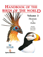 Handbook Of The Birds Of The World; Volume 3 Hoatzin To Auks