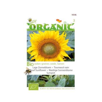 Buzzy® Organic Helianthus Annuus Sunspot (bio)