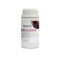 Bioquant Bioquant Bio Regulone 250ml
