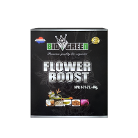 Biogreen Biogreen Flower Boost