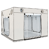 Homebox Homebox Ambient Q300+    300x300x220cm
