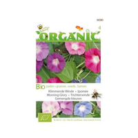 Buzzy® Organic Ipomoea Purpurea Gemengd (bio)