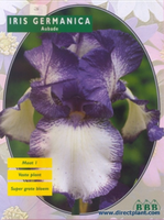 Iris White, Light Blue (iris) Per 3