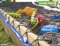 Jungle Gym | Cat Stop