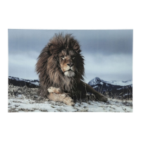 Kare Design Proud Lion Foto Op Glas 120x180cm