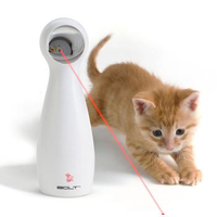 Kattenspel Met Laserlichtinteractief