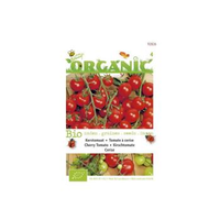 Buzzy® Organic Kerstomaten Cerise (bio)