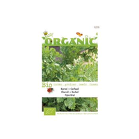Buzzy® Organic Kervel (bio)